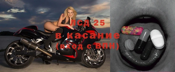 шишки Горнозаводск