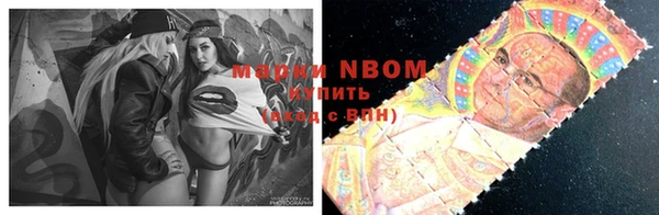шишки Горнозаводск
