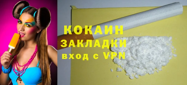 шишки Горнозаводск