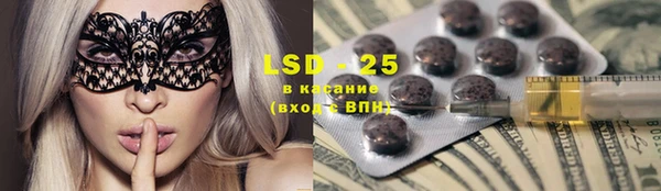 шишки Горнозаводск