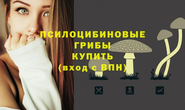 спиды Горняк
