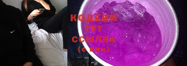 спиды Горняк