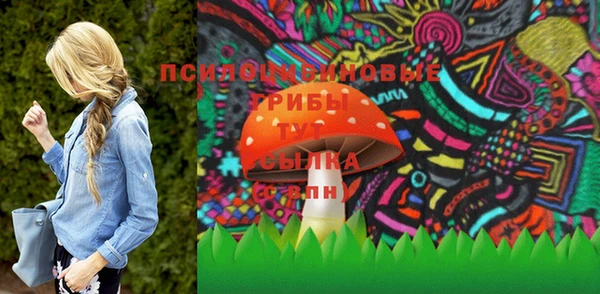 шишки Горнозаводск