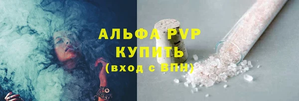 шишки Горнозаводск