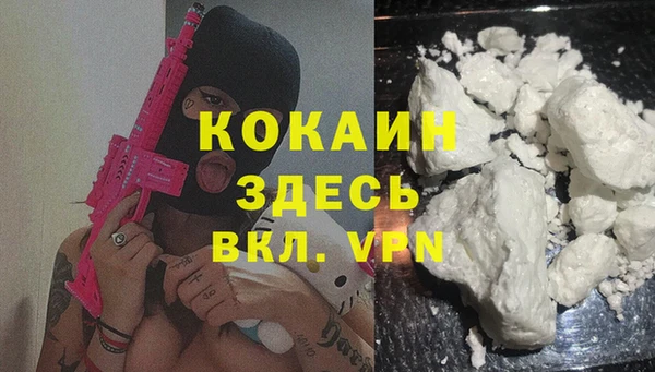 шишки Горнозаводск