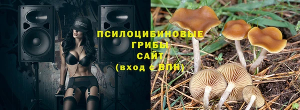спиды Горняк