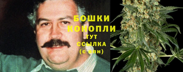 спиды Горняк