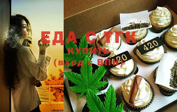 спиды Горняк