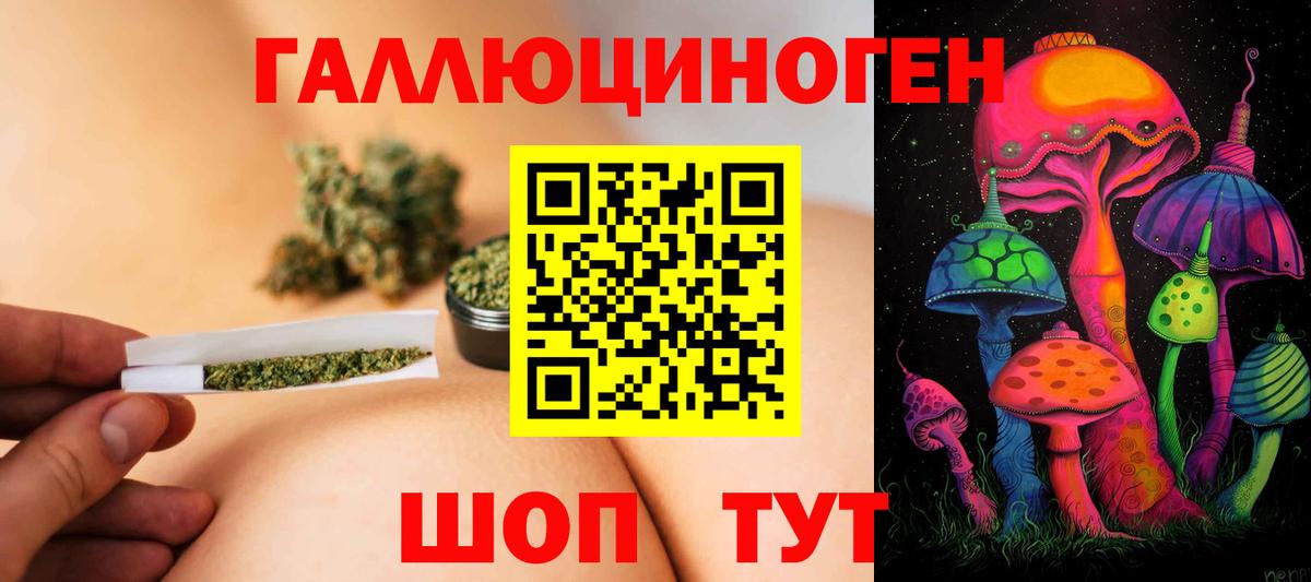 Псилоцибиновые грибы Psilocybine cubensis Гусь-Хрустальный